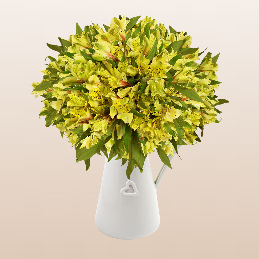 Alstroemeria Yellow