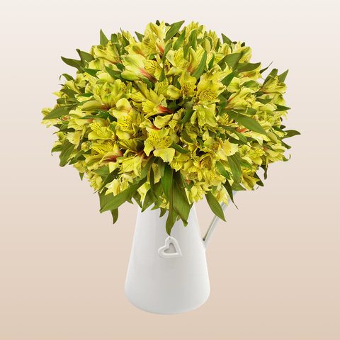 Alstroemeria Yellow