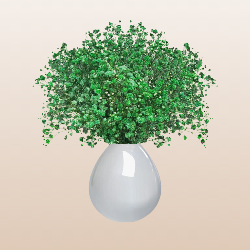 Baby's Breath Green tinted