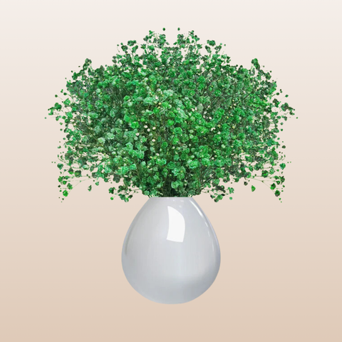 Baby's Breath Green tinted