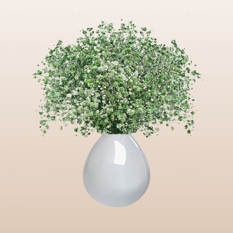 Baby's Breath Light Green