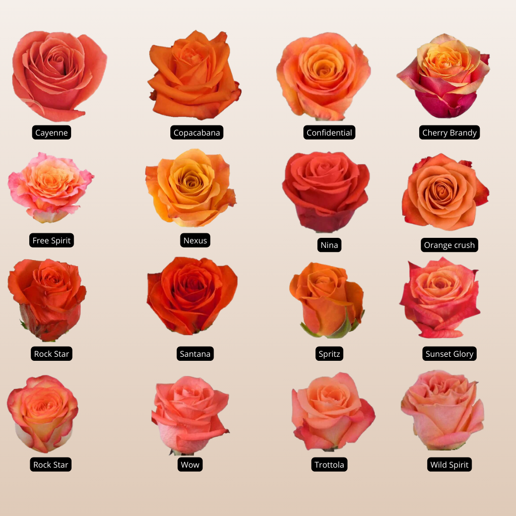 Orange Assorted Roses