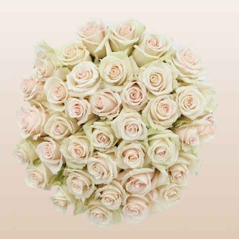 Bridal Akito Roses