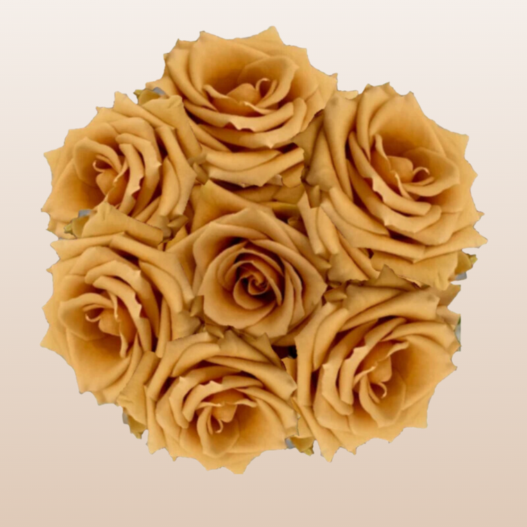 Dark Chocolate Tinted Roses