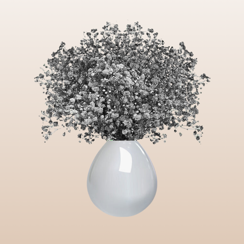 Baby's Breath Grey