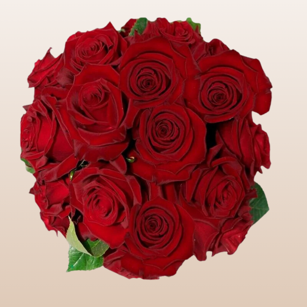 Tinto Red Roses