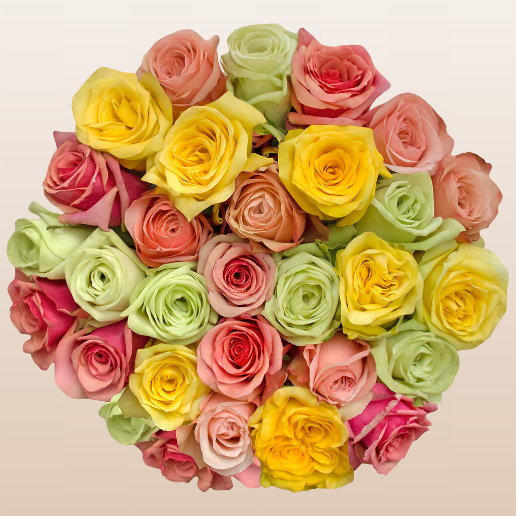 Pastal Color Roses Rainbow Pastel Roses – EbloomsDirect