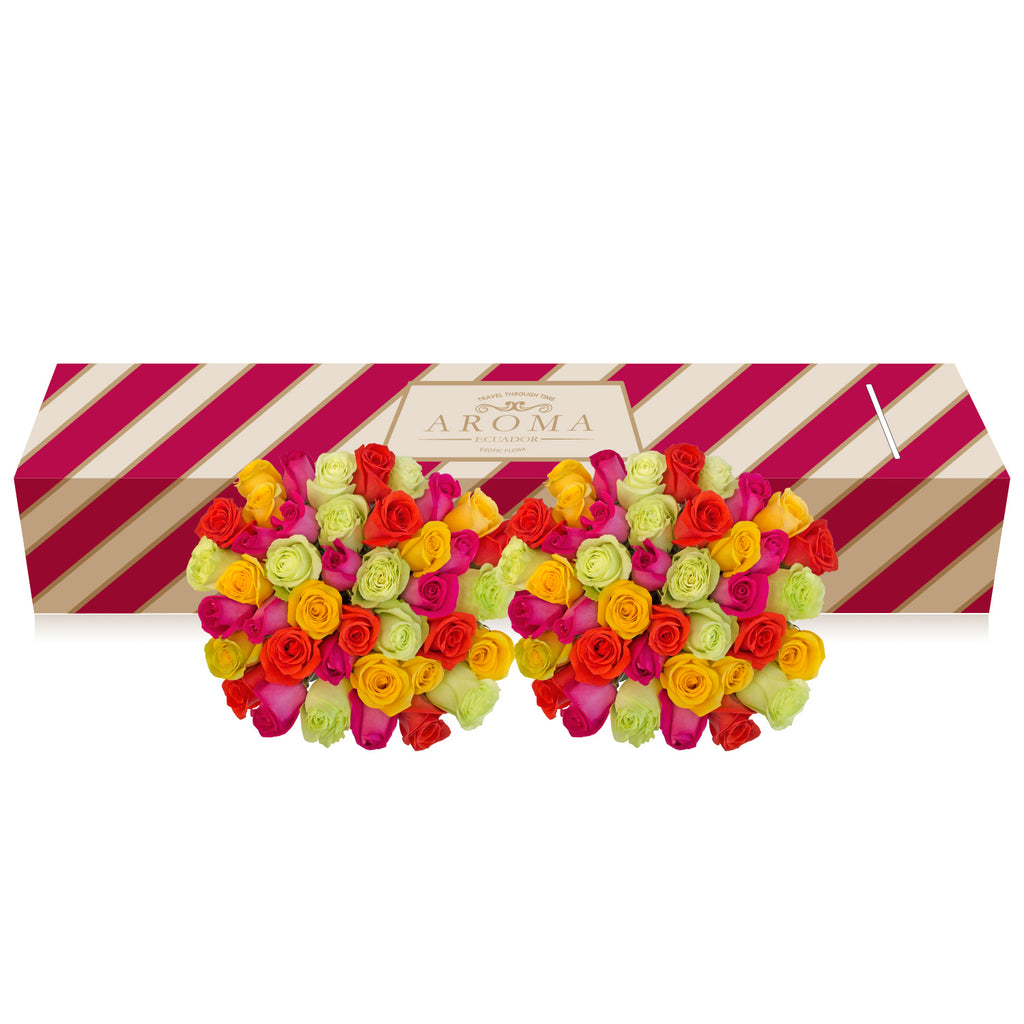 Rainbow Bright Roses