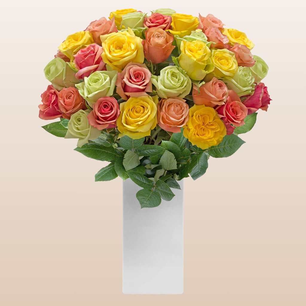 Rainbow Pastel Roses