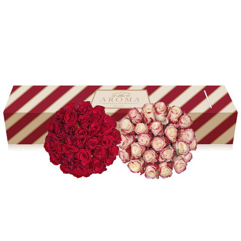 Duo Red - Bicolor White/Red Roses