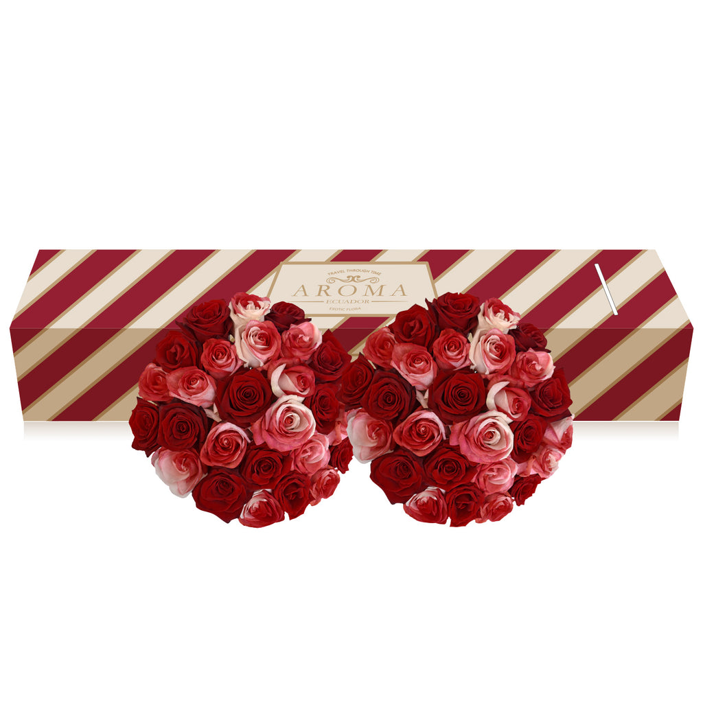 Red - Bicolor Red/White Tinted Roses