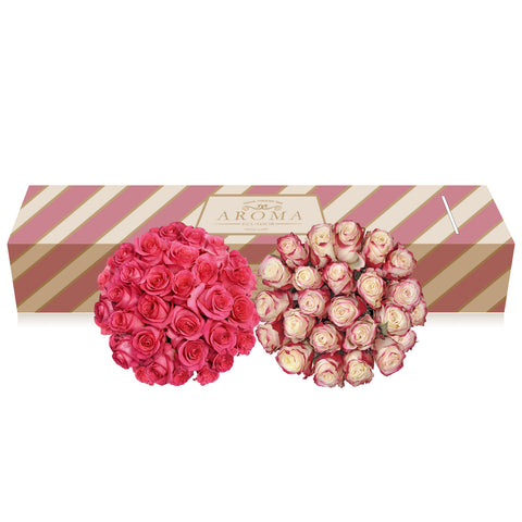 Duo Hot pink - Bicolor Pink Roses