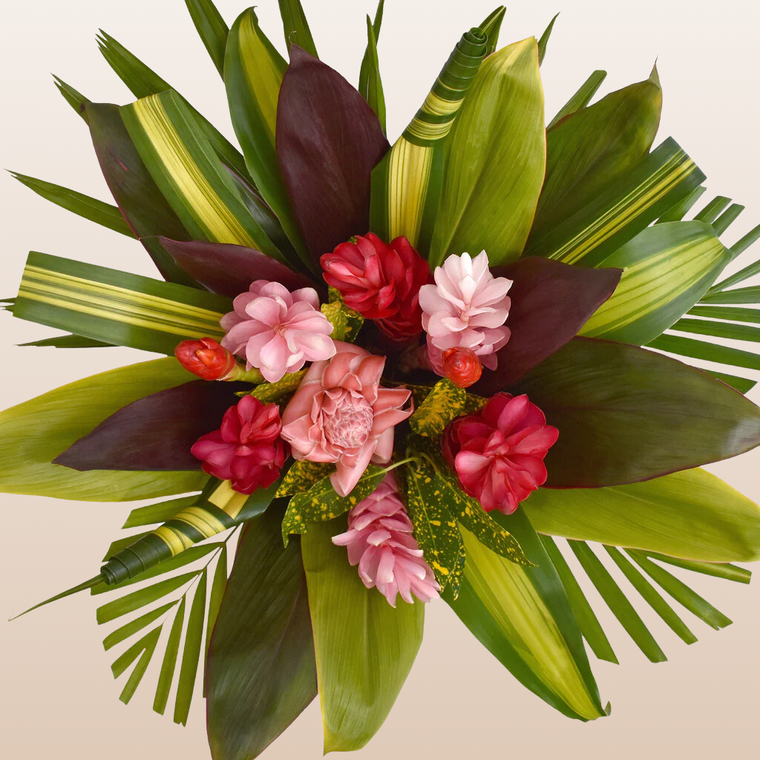 Pink Lady Tropical Bqt - Pack 2