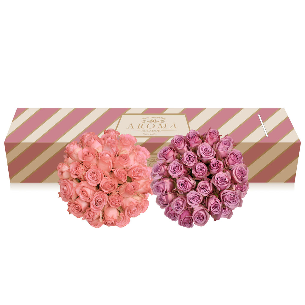 Duo Lavender - Light Pink Roses