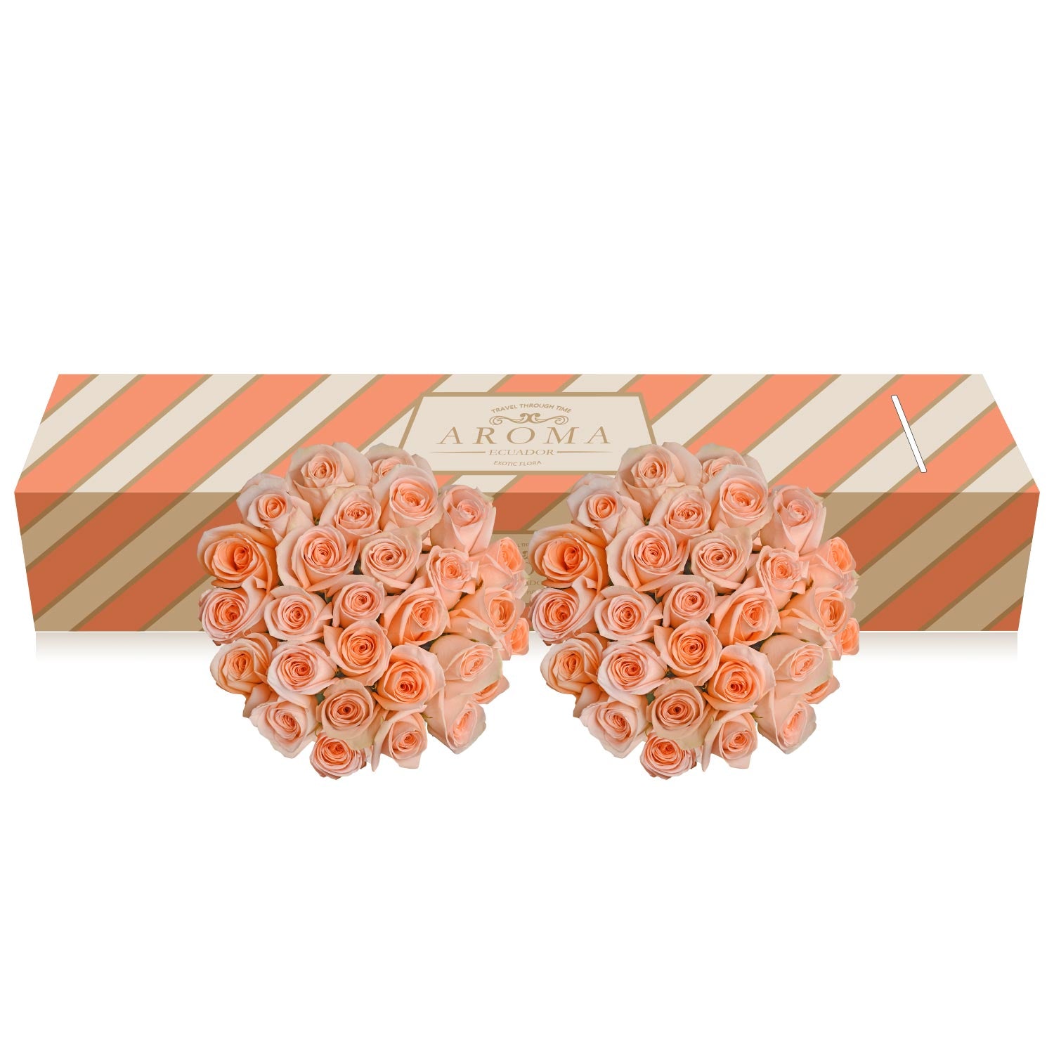 Peach Roses