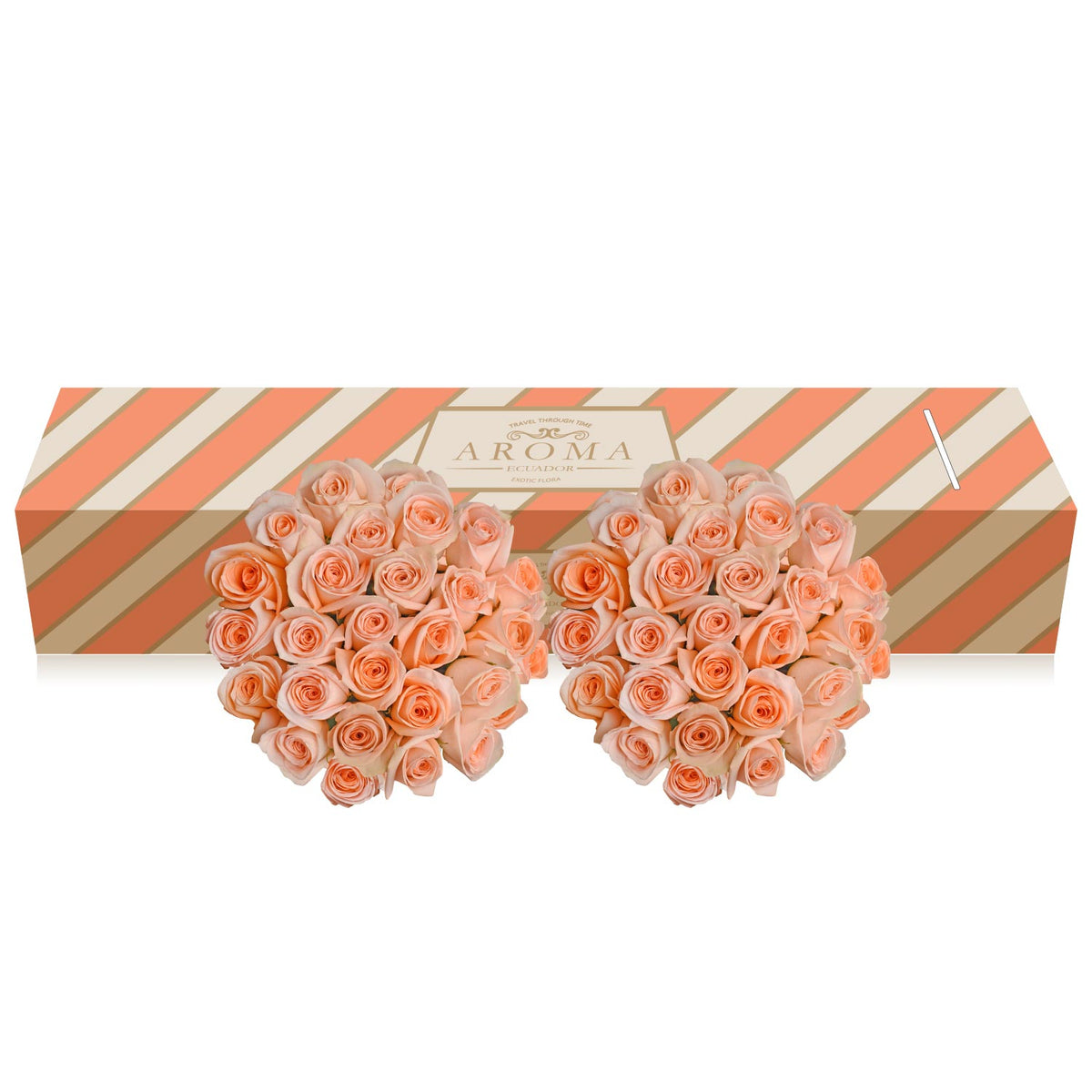 Peach Roses
