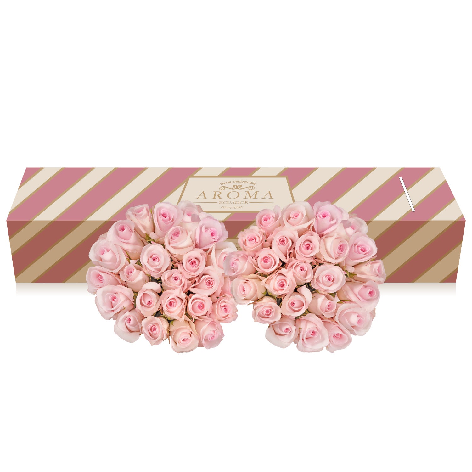 Duo Pink - White Roses