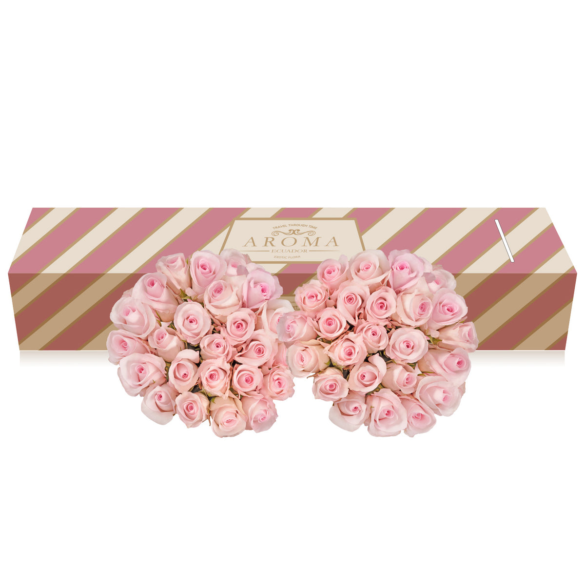 Duo Pink - White Roses