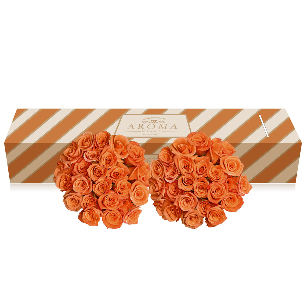 Orange Roses