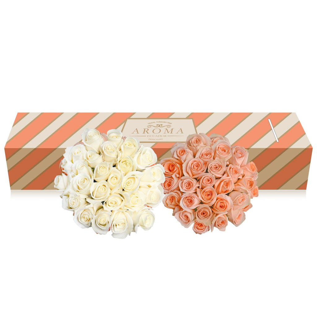 Duo Peach - White Roses