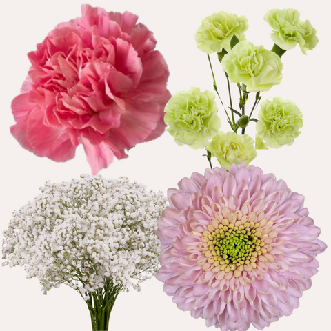 DIY Floral Combo Box #6 -Babys Breath, Minami Carnations, Mini Carns & Cremons -PK 116 Stems.