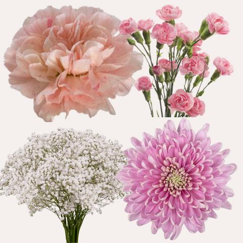 DIY Floral Combo Box #6 -Babys Breath, Minami Carnations, Mini Carns & Cremons -PK 116 Stems.
