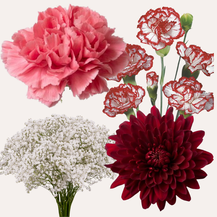 DIY Floral Designer Combo Box #6 – Baby’s Breath, Minami Carnations, Mini Carns & Cremons – Assorted Pastel Palettes