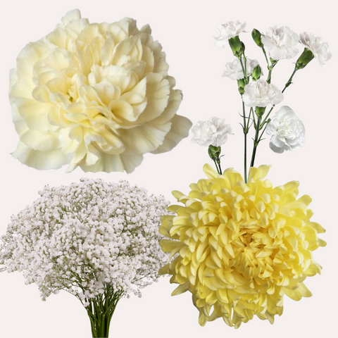 DIY Floral Combo Box #6 -Babys Breath, Minami Carnations, Mini Carns & Cremons -PK 116 Stems.