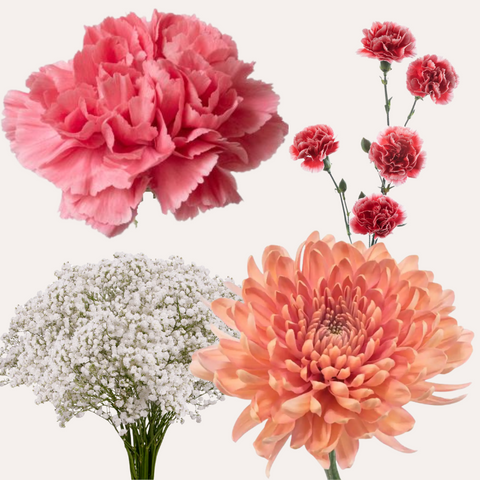 DIY Floral Combo Box #6 -Babys Breath, Minami Carnations, Mini Carns & Cremons -PK 116 Stems.