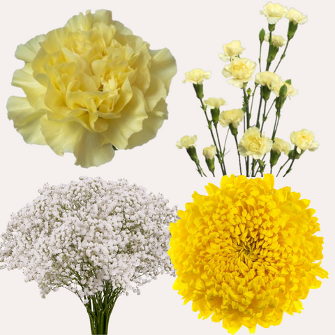 DIY Floral Combo Box #6 -Babys Breath, Minami Carnations, Mini Carns & Cremons -PK 116 Stems.