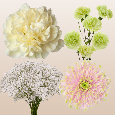 DIY Floral Combo Box #6 -Babys Breath, Minami Carnations, Mini Carns & Cremons -PK 116 Stems.