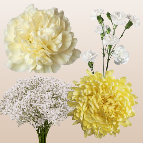 DIY Floral Combo Box #6 -Babys Breath, Minami Carnations, Mini Carns & Cremons -PK 116 Stems.