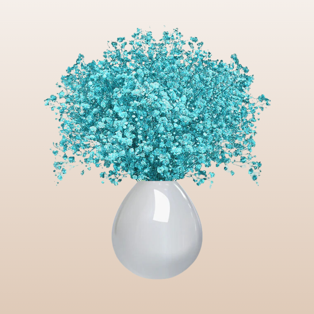 Baby's Breath Turquoise
