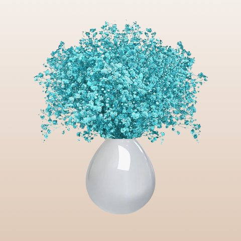 Baby's Breath Turquoise