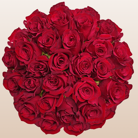 Pes Red Roses Red Roses – EbloomsDirect