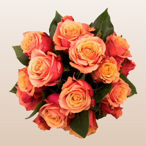 Cherry Brand Roses