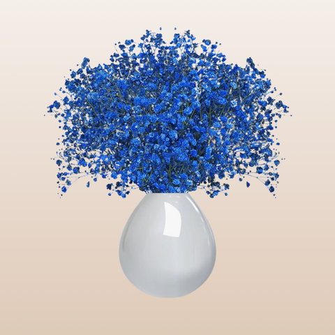 Baby's Breath Blue