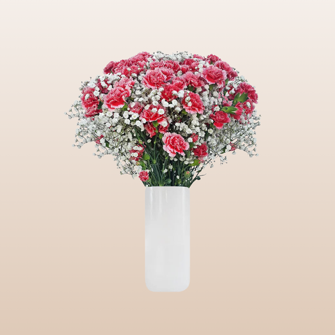 Mini Carnation Red & Pink Bqt