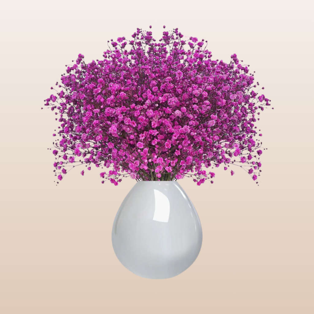 Baby's Breath Hot Pink