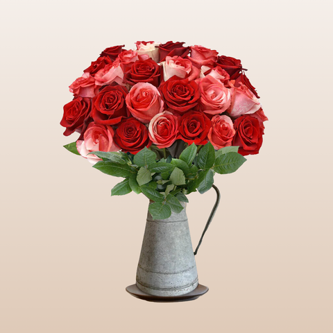 Red - Bicolor Red/White Tinted Roses