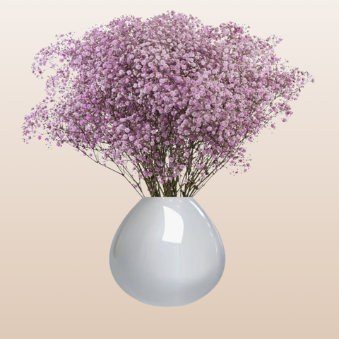 Baby's Breath Light Pink
