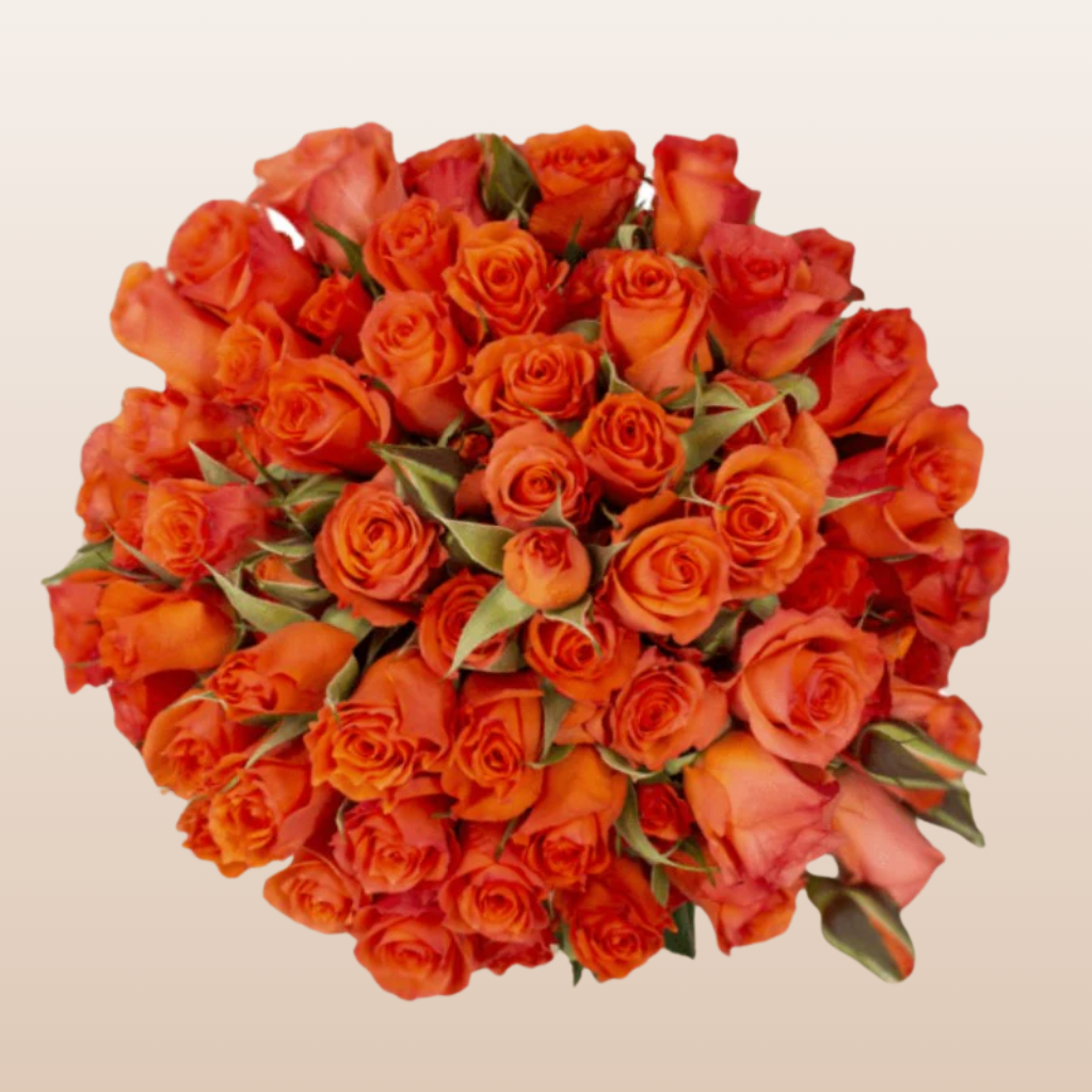 Alegria Spray Roses Orange