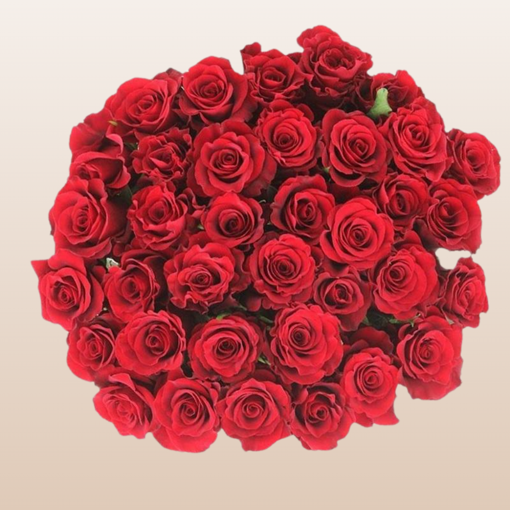 Altamira Roses