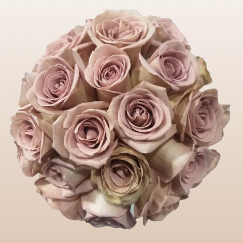 Amnesia Roses