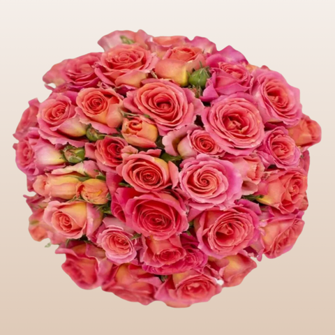 Andrea  Spray Roses Coral pink Bicolor