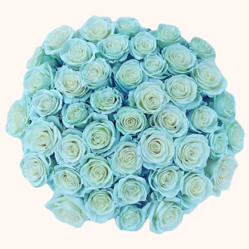 Angel Light Blue & White Tinted Roses – EbloomsDirect