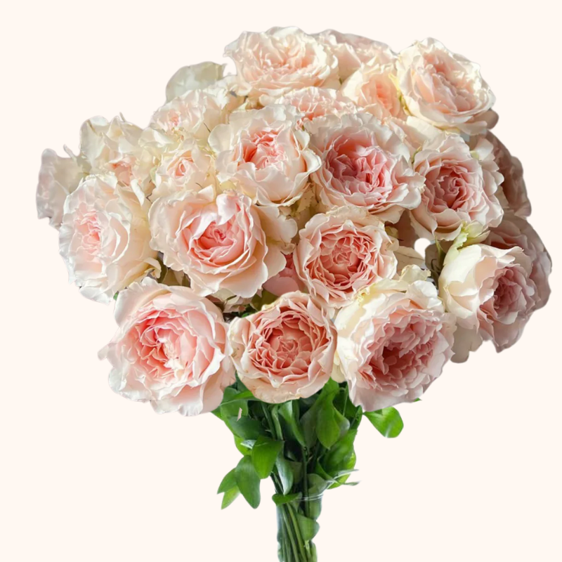 Art Nuveau Garden Roses