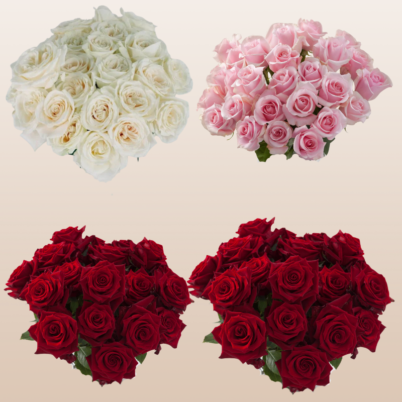 Rose Florist Assorted