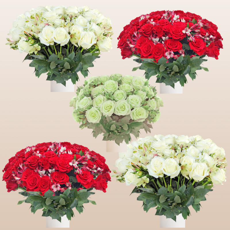 Rose - Alstroemeria Bouquet Xmas Assorted Pack 8