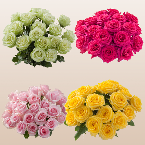 Rose Assorted Bright PK100